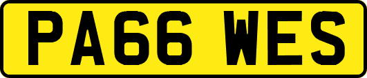 PA66WES
