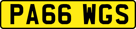 PA66WGS