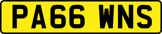 PA66WNS