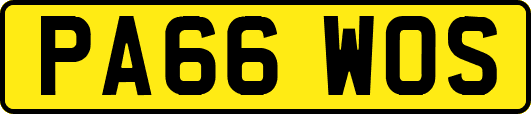 PA66WOS
