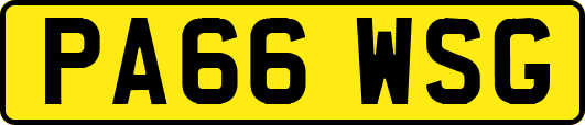 PA66WSG
