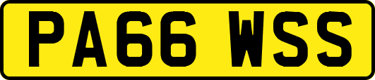 PA66WSS