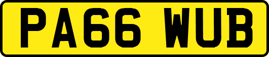 PA66WUB