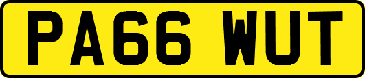 PA66WUT