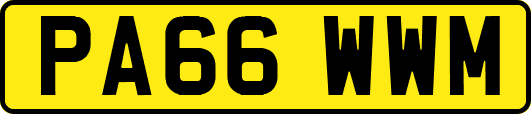 PA66WWM