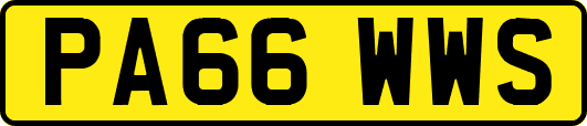 PA66WWS