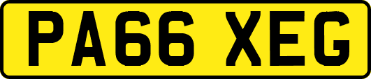 PA66XEG
