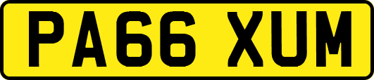 PA66XUM