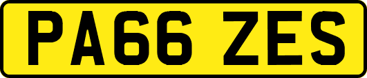 PA66ZES
