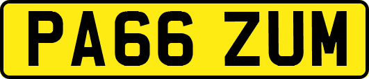 PA66ZUM