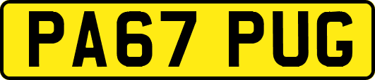 PA67PUG