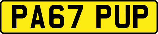 PA67PUP