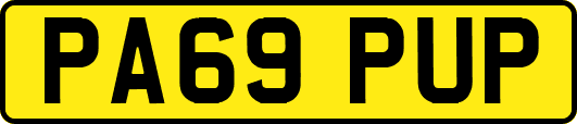 PA69PUP