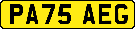 PA75AEG