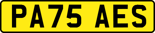 PA75AES