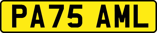 PA75AML