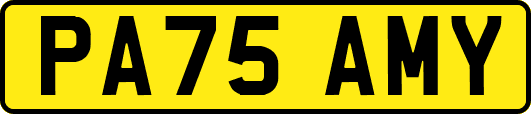 PA75AMY