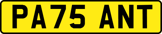 PA75ANT