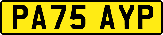 PA75AYP