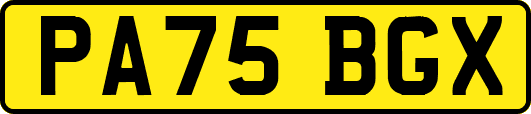 PA75BGX