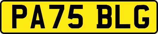 PA75BLG