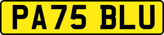 PA75BLU