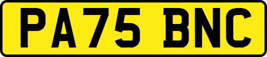 PA75BNC