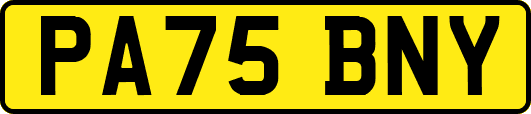 PA75BNY