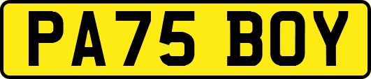 PA75BOY