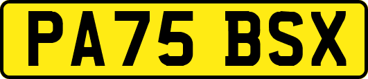 PA75BSX