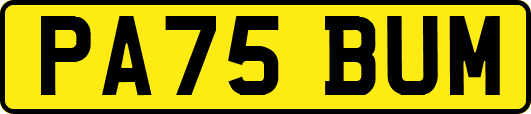 PA75BUM