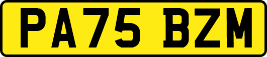 PA75BZM