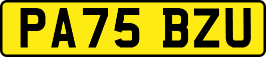 PA75BZU