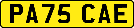 PA75CAE