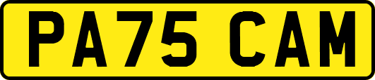 PA75CAM