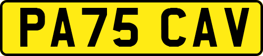 PA75CAV