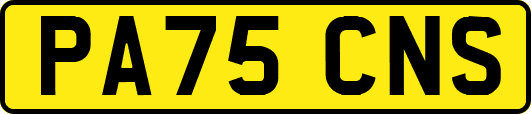 PA75CNS