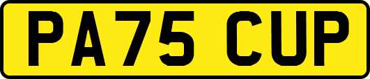 PA75CUP