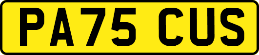 PA75CUS