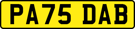 PA75DAB