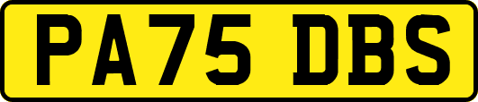 PA75DBS