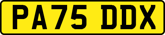 PA75DDX