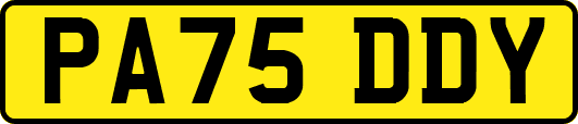 PA75DDY