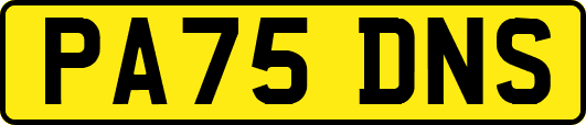 PA75DNS