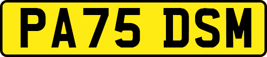 PA75DSM