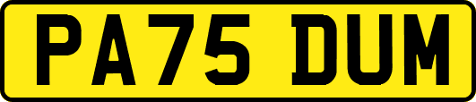 PA75DUM