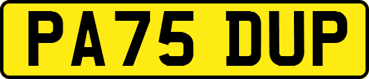PA75DUP