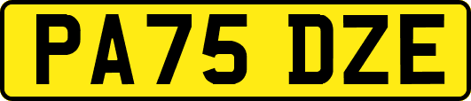 PA75DZE