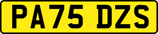 PA75DZS