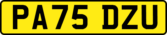 PA75DZU